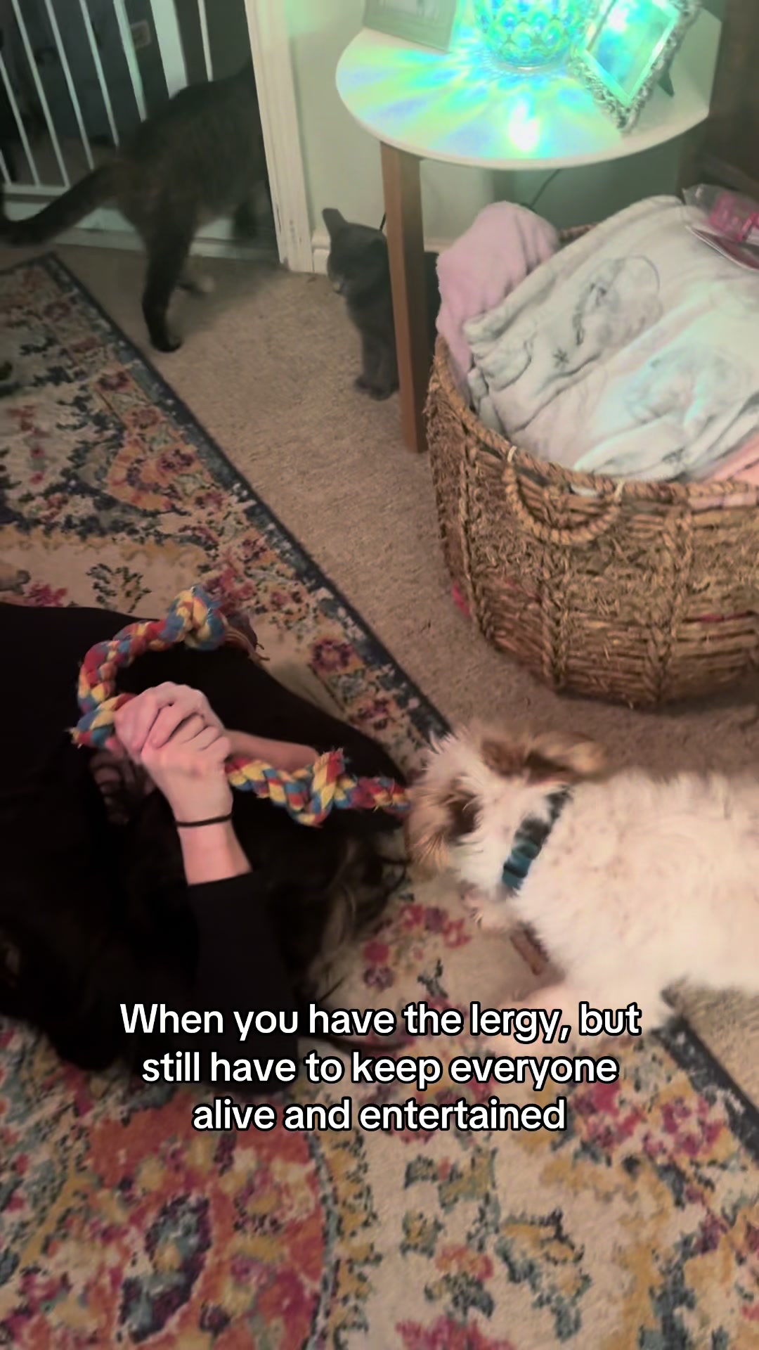 Helen at home playing tug of war with her dogs
